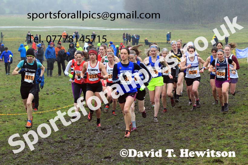 Senior womens 2022 North Eastern Harrier League, Thornley Farm, Peterlee, County Durham. Photo: David T. Hewitson/Sports for All Pics